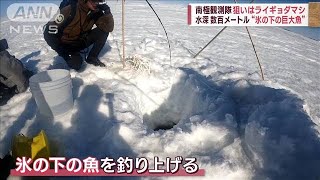 【江戸時代の気温】南極観測隊　地下20mの氷採取　変化解析へ(2023年1月18日)