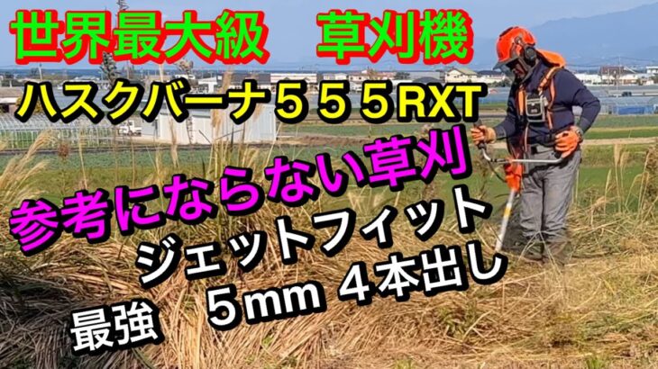 世界最大級　草刈機　ハスクバーナ555RXTに最強5mmを4本出して草刈り