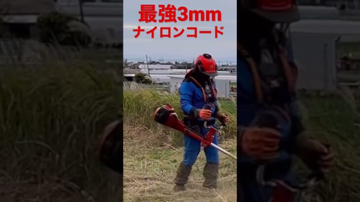 草刈機　ハスクバーナ 55cc に負けない3mmナイロンコードで草刈り　#shorts  #草刈り #草刈機