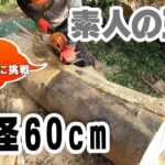 素人の直径60cmの 玉切り チェーンソー   【竹林整備】#41