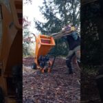 Chip it and reuse it, free mulch #gardening #mulch #woodchipper