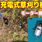 【DIY】格安充電式草刈り機のモーター焼け修理