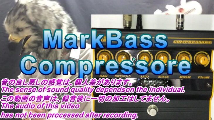 【レビュー】MARKBASS Compressore // マークベース コンプレッサー “proceeding without talking on purpose” (わざと話さずに進んでいます)