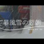 暴風雪の翌朝　ヤマハ除雪機YT660使用動画
