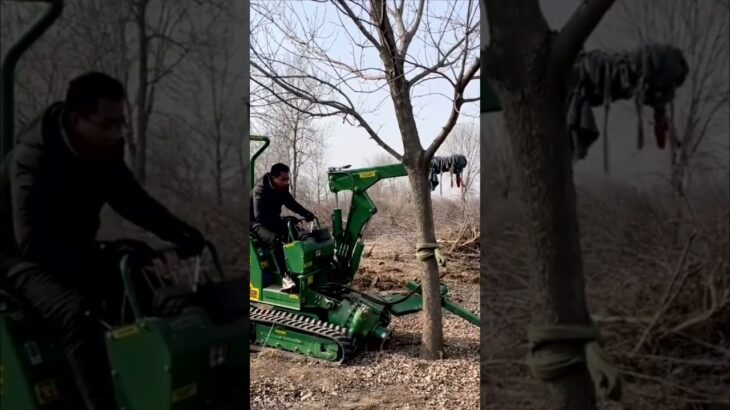 soil ball tree digging machine rental tree digging machine