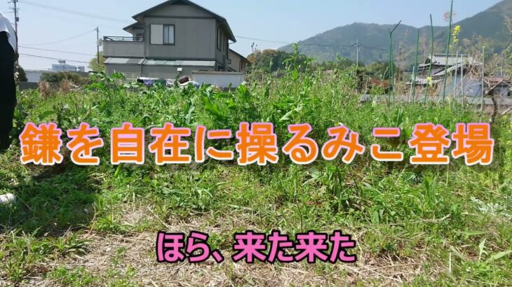 【野菜を植える準備】新しく始める人は草刈りから！草刈り機を使わなくても十分に出来ます！