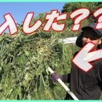 【草集め】草刈機で大量に刈った草を集める楽な道具紹介!!熊手よりも便利で楽に大量に!!#稲屋の田舎チャンネル