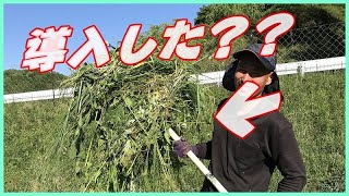 【草集め】草刈機で大量に刈った草を集める楽な道具紹介!!熊手よりも便利で楽に大量に!!#稲屋の田舎チャンネル