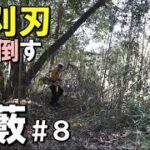 山開拓＃８｜竹藪を草刈機（ツムラの笹刈刃）で竹刈り｜自然を満喫しながら作業をする