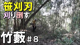 山開拓＃８｜竹藪を草刈機（ツムラの笹刈刃）で竹刈り｜自然を満喫しながら作業をする