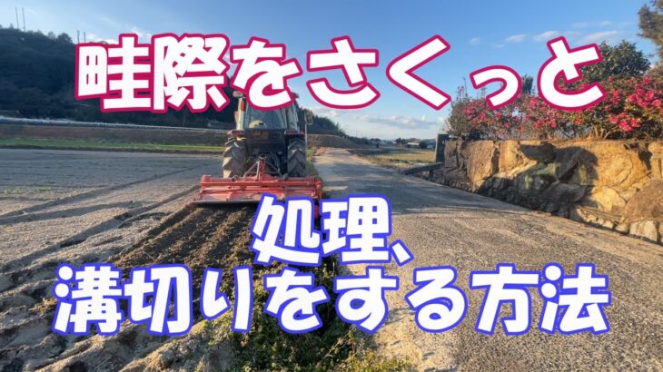 野菜作りにとって水はけ、水たまりは大敵なので、圃場の周りをぐるっと溝切り、排水性をよくします。