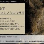 南の島に暮らす アマミノクロウサギ