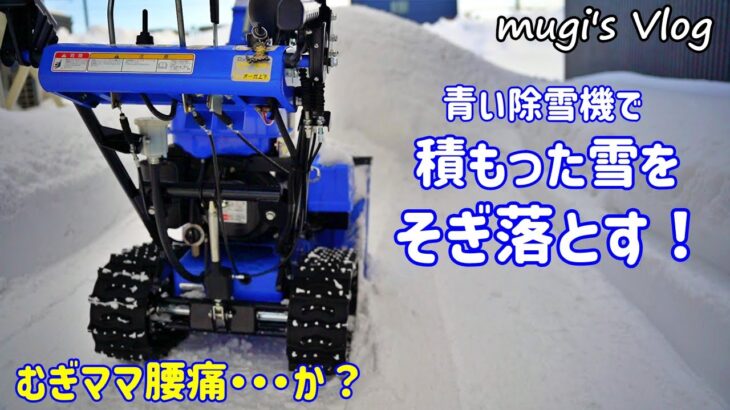 青い除雪機で積もった雪のリセット！地面にへばりついた雪もそぎ落として平らにしました。