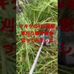 マキタの18v電動草刈り機で藪をはらってみた！