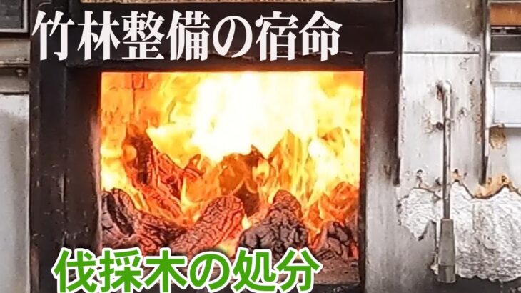 焼却炉で伐採木の処分　薪棚  【竹林整備】#43
