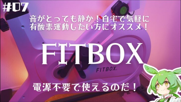 FITBOX紹介！静かにいつでもできる有酸素運動！