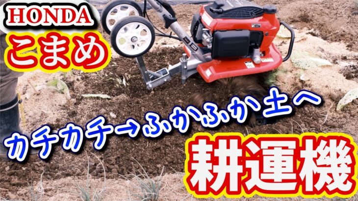 【耕運機】らくらく土づくり！カチカチ土→ふかふか土へ【HONDA こまめ】