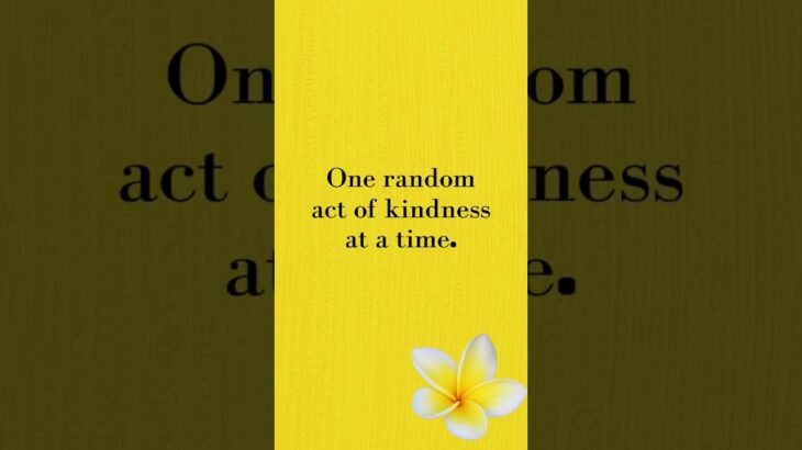Random Act of kindness – Hansa Chipper