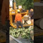 Wood Chipper Satisfying