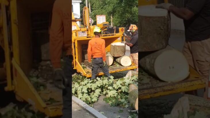 Wood Chipper Satisfying