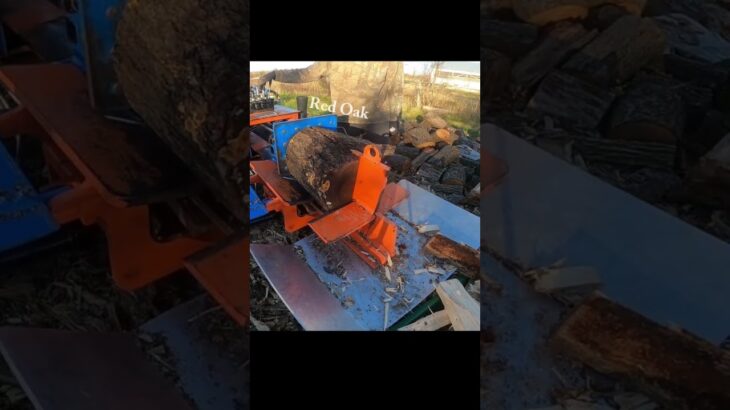 Youtube’s Best Woodsplitter?  – 5 species, 5 splits. #shorts #firewood #machine