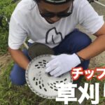 【初心者必見】草刈り機❗️チップの付け替えします！(rice is comedy®︎)