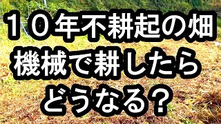 １０年不耕起の畑、機械で耕したらどうなるか？自然農・松尾靖子さんの言葉　やまなみ農場さん