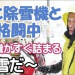 福井　大雪　除雪作業　除雪機　フル稼働　でも雪で詰まる　すぐ真っ白に　もくもくと除雪します【おうちでガーデニング】開花園チャンネル