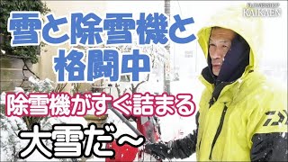 福井　大雪　除雪作業　除雪機　フル稼働　でも雪で詰まる　すぐ真っ白に　もくもくと除雪します【おうちでガーデニング】開花園チャンネル