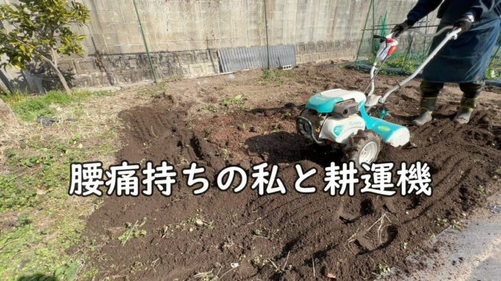 腰痛持ちの私と耕運機