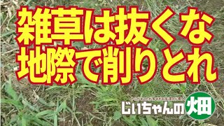 雑草は抜かない、地際で削り取ればいい。雑草取りはしゃがみ込んで根から抜こうとするからダメ。