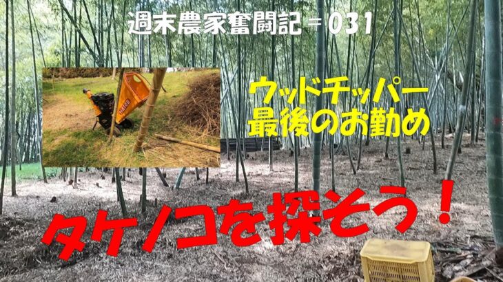 【週末農家奮闘記 031】タケノコを探そう　ウッドチッパー今シーズン最後のお勤め