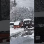 ヤマハ除雪機で雪飛ばしてみたの巻〜80ｾﾝﾁ幅12馬力〜