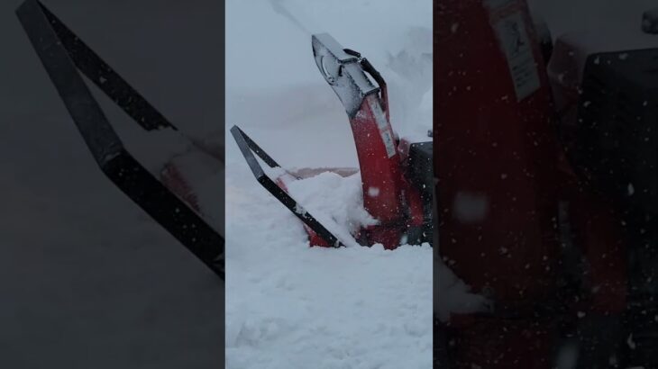 【除雪機】Honda 9馬力！今年の大雪にも除雪作業頑張ってます #shorts