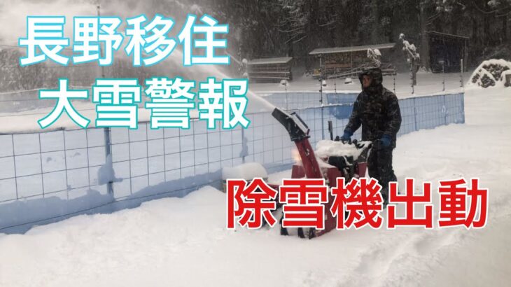 【わたし流田舎暮らしNo.5】長野県に移住しました/大雪/除雪/かまくら作り