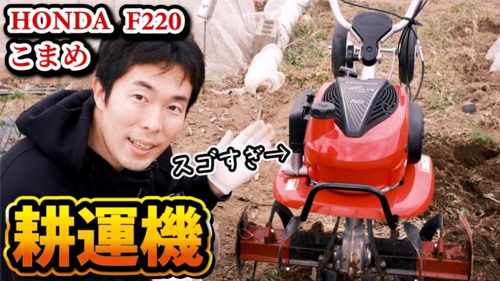 ホンダ耕耘機こまめＦ２２０、スゴすぎた！クワより数十倍ラクでした！カッチカチ土が→ふわふわ土へ