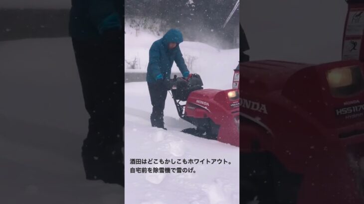 どこもかしこもホワイトアウトの中、自宅前を除雪機で雪のげ。 #酒田 #山形 #庄内 #除雪 #除雪機 #雪 #東北 #大寒波 #寒波