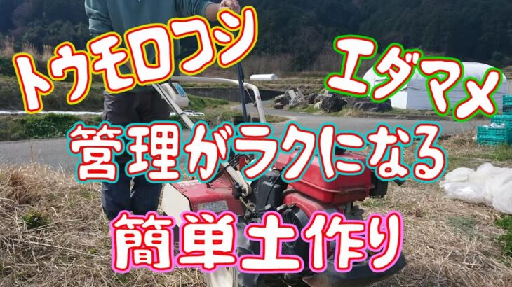 トウモロコシ、エダマメの土作り、耕運機で週一作業、イイものを！！