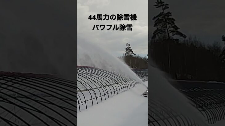 【最後のハウス除雪】#北海道#美瑛#春#ワドー除雪機