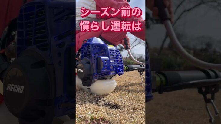 ツーサイクルエンジン草払機の夏に向けて慣らし運転してみたら…#草刈機