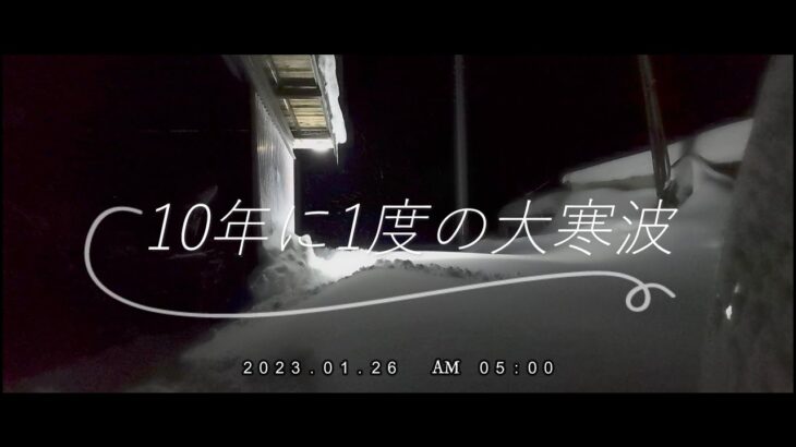 10年に1度の大寒波　ヤマハ除雪機で除雪する動画