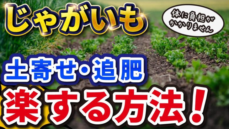 【第17回】【ジャガイモ栽培】電気耕運機で土寄せしたら、とんでもなくラクでした！【家庭菜園】