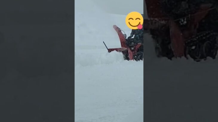 ヤナセ 810 HST 除雪機