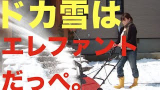 家庭用電動除雪機 スノーエレファントD-1000