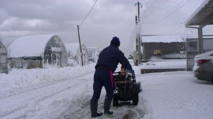 デイトナ　除雪機　DS-9260