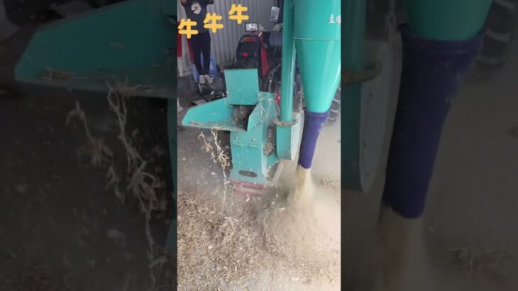 Home made animal feed forage crusher hammer mill