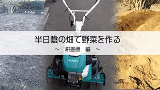 【半日陰の畑で野菜作り】耕運機編【Let’s grow vegetables in semi-shade（The Kubota Cultivator Walking Type）】