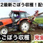 【トラクター】【完全版】クボタM110A 苫米地技研ごぼう収穫機  2021
