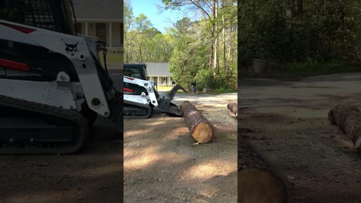 Timber Time: Watch us clear trees in Apex, NC with a crane, skid steer, and wood chipper!