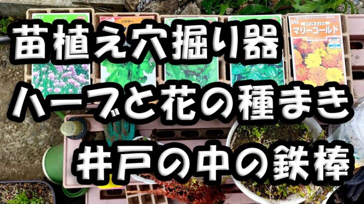 園芸便利用品　種植えに最適　「苗植え穴掘り器」